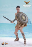 **CALL STORE FOR INQUIRIES** HOT TOYS MMS424 DC WONDER WOMAN TRAINING ARMOR VERSION 1/6TH SCALE FIGURE