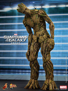**CALL STORE FOR INQUIRIES** HOT TOYS MMS253 MARVEL GUARDIANS OF THE GALAXY GROOT 1/6TH SCALE FIGURE
