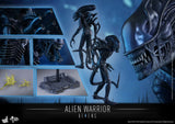**CALL STORE FOR INQUIRIES** HOT TOYS MMS354 ALIENS ALIEN WARRIOR 1/6TH SCALE FIGURE