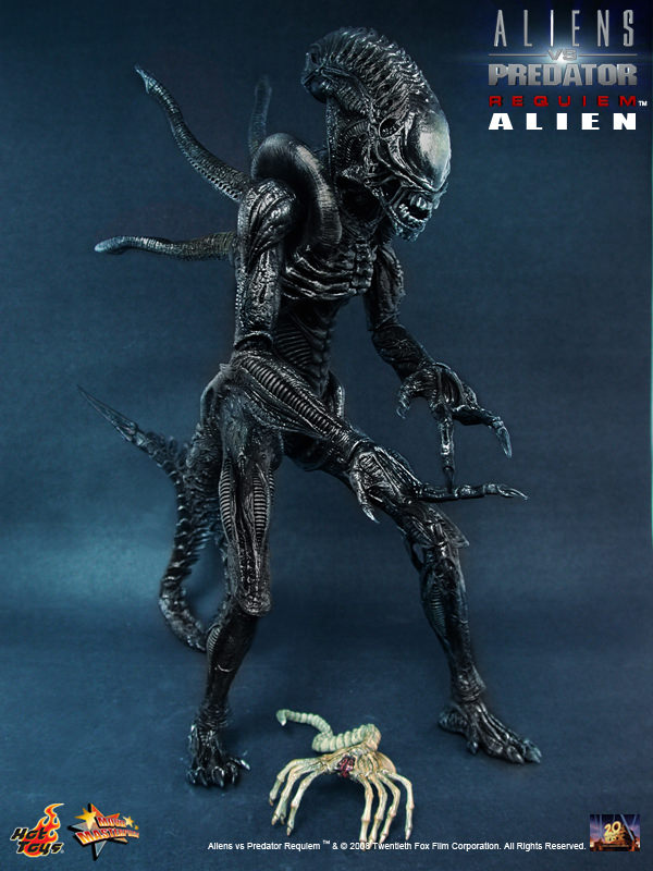 CALL STORE FOR INQUIRIES** HOT TOYS MMS54 ALIEN VS PREDATOR