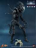 **CALL STORE FOR INQUIRIES** HOT TOYS MMS54 ALIEN VS PREDATOR REQUIEM ALIEN WITH FACE HUGGER 1/6TH SCALE FIGURE