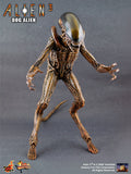 **CALL STORE FOR INQUIRIES** HOT TOYS MMS77 ALIEN 3 DOG ALIEN 1/6TH SCALE FIGURE