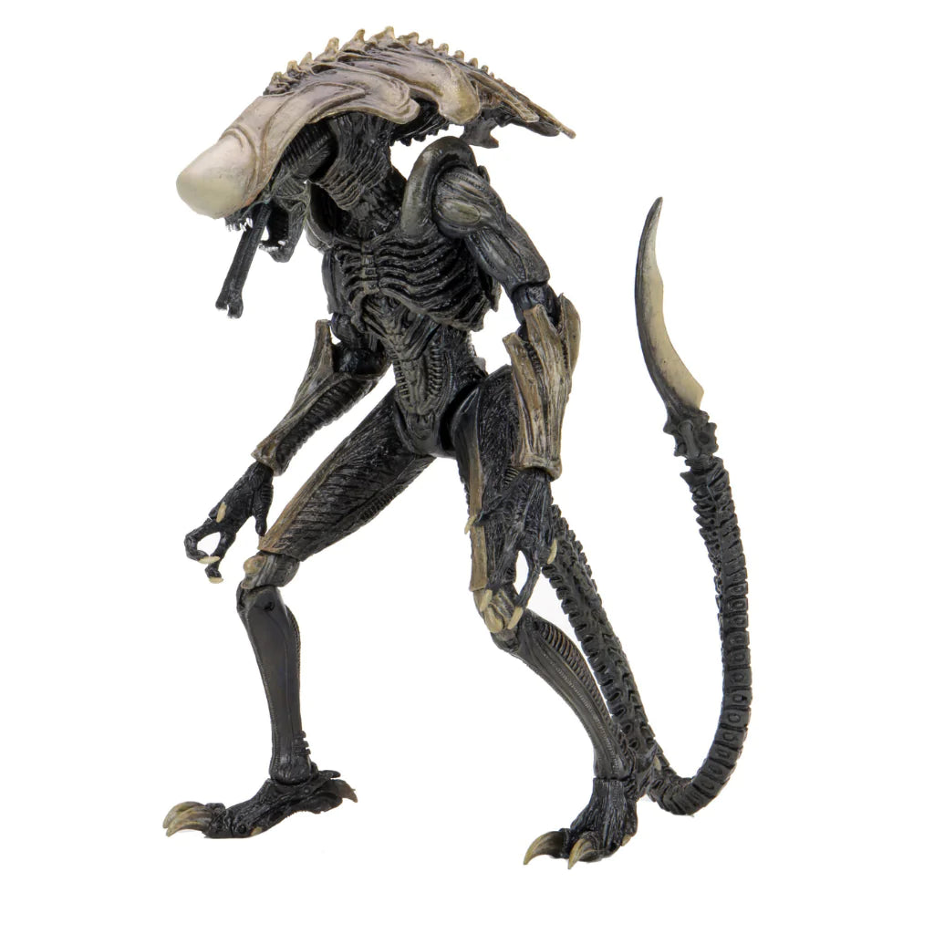 NECA ALIEN VS PREDATOR CHRYSALIS ALIEN – Cards and Comics Central