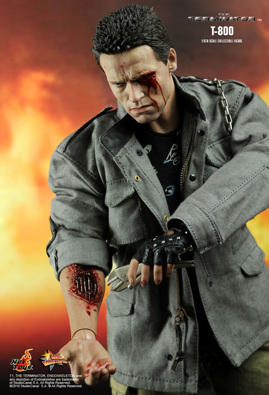 HOT TOYS TERMINATOR T-800 MMS136 1/6 SCALE FIGURE ARNOLD SCHWARZENEGGE –  Cards and Comics Central